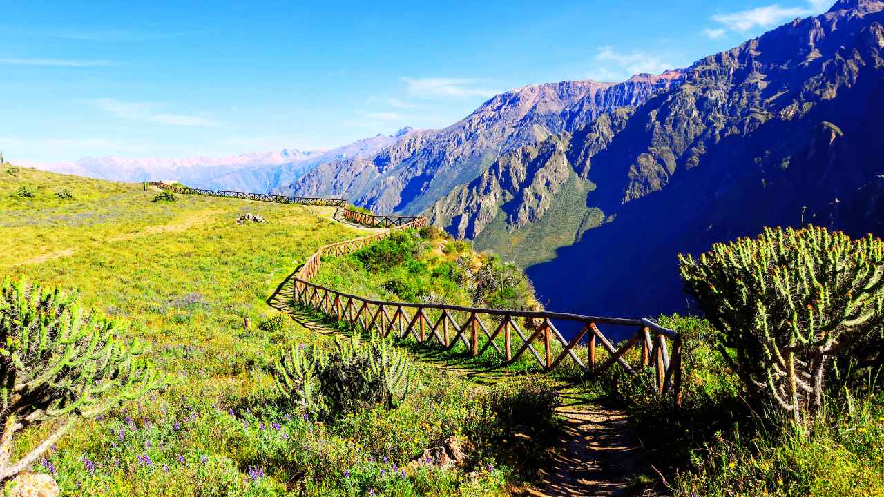 Tour ciudad de arequipa y valle del colca 3 dias