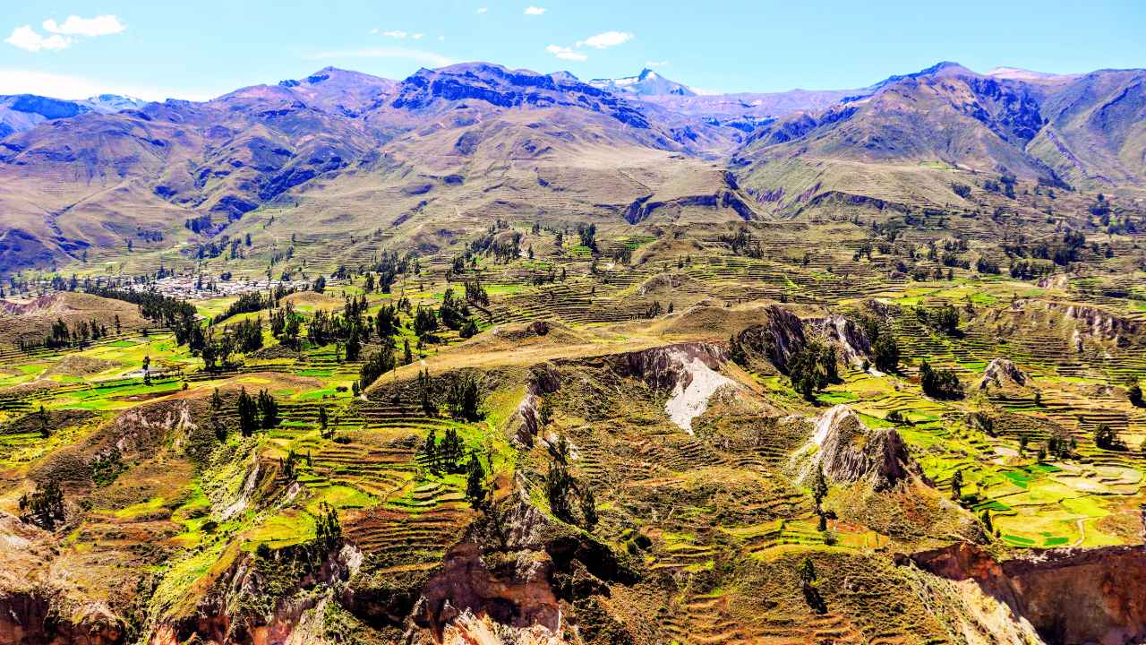 Tour valle del colca hasta puno 3 dias
